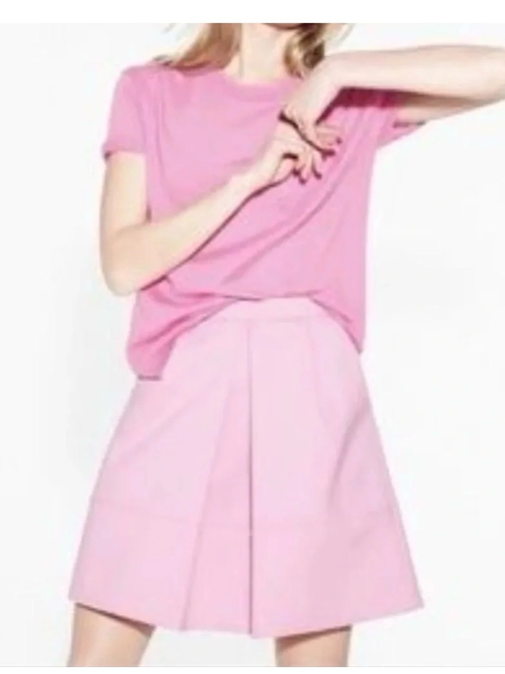 JCrew Pink A-Line Pleated Skirt. Size 6.